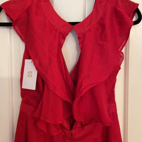 Red romper with open back. Bought from Lulu’s but never worn. Size Small - Picture 4 of 4